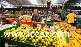 香蕉国产精品,品味家乡的甜蜜诱惑